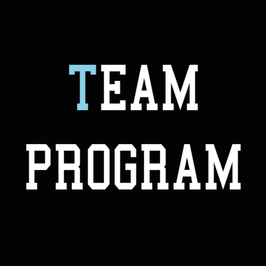 3 White Lights: TEAM PROGRAM