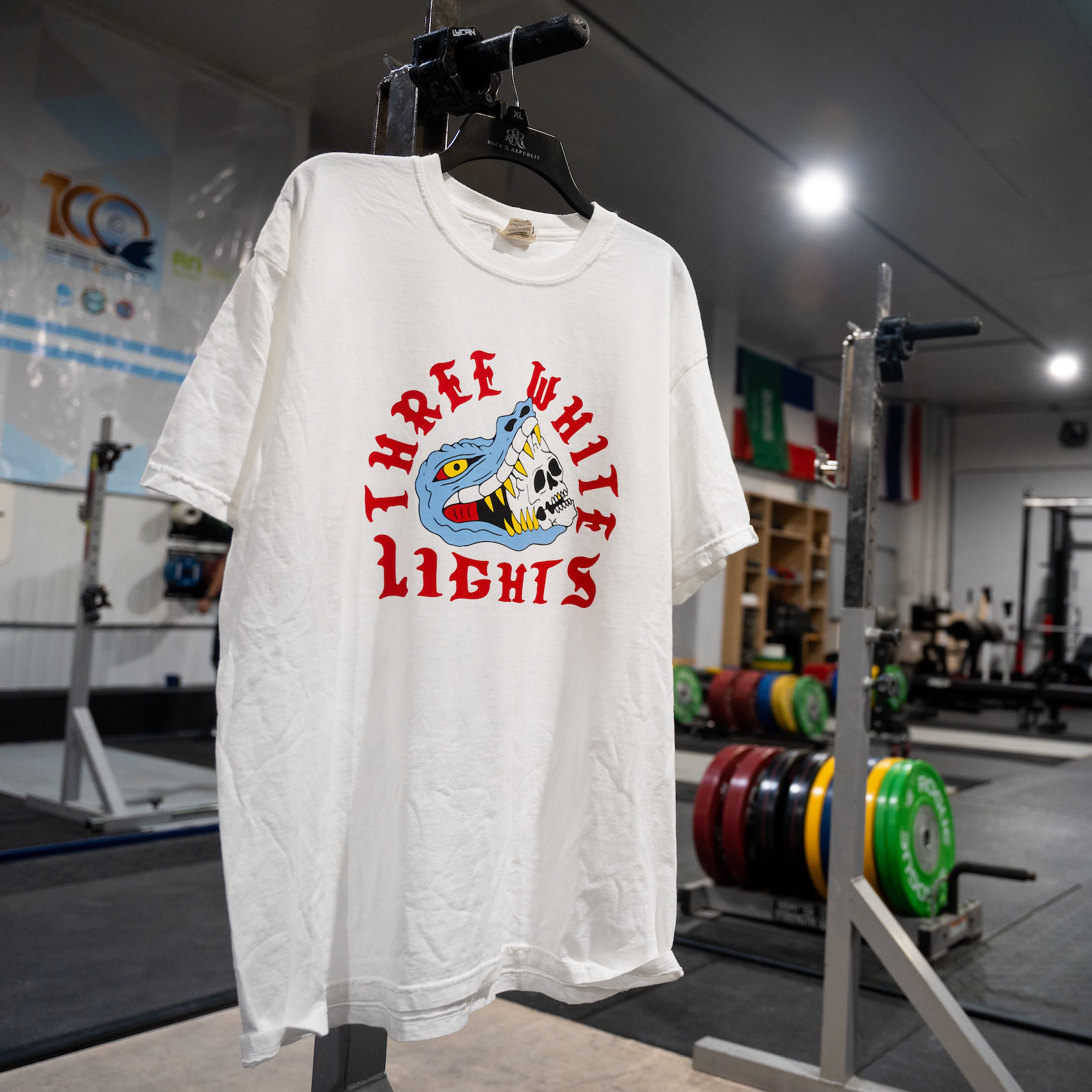 3 WHITE LIGHTS GATOR